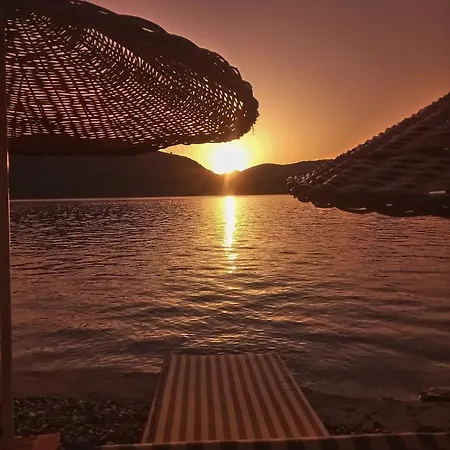 Moonlight Boutique -