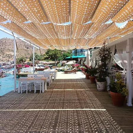 Moonlight Boutique - ボズブルン